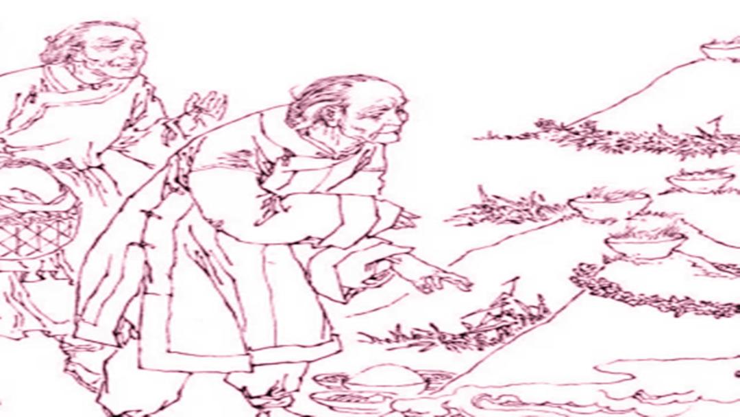 鉴赏文学作品的形象语言表达技巧,文学创作中艺术真实的具体表现