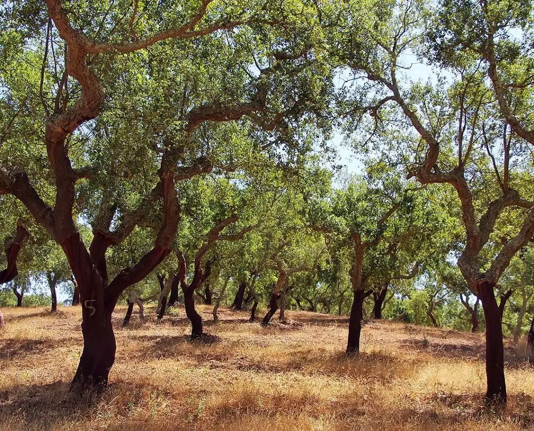 绿色设计就是环保设计,绿色设计理念