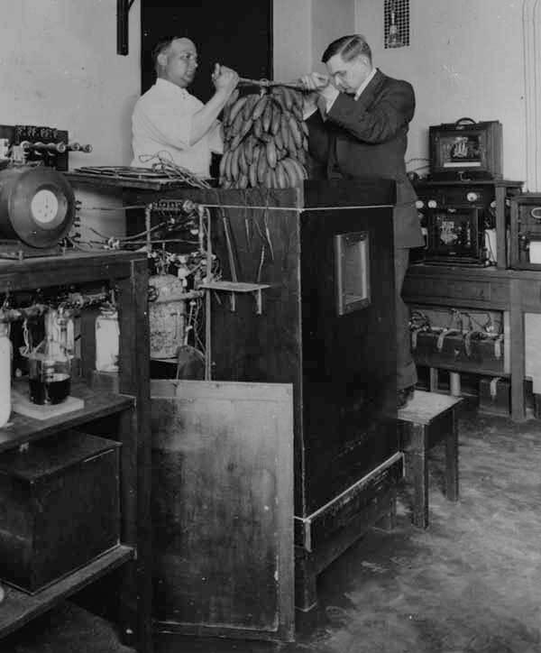 如何科学计算卡路里,计算卡路里有什么用