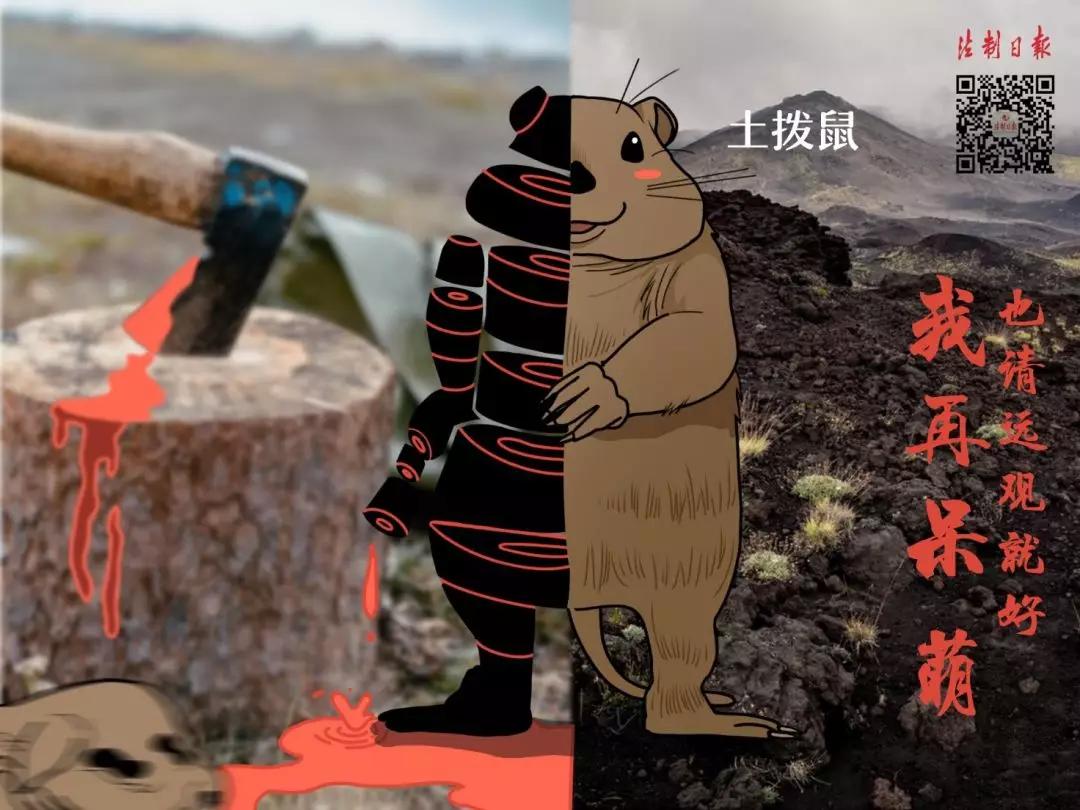 拒绝野味漫画图片,敬畏自然拒绝野味漫画