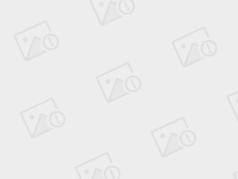 美国签证小知识100条,美国签证b1和b2区别