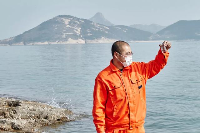 乳山生蚝也许是性价比最高的生蚝,正宗乳山生蚝上市了来尝鲜