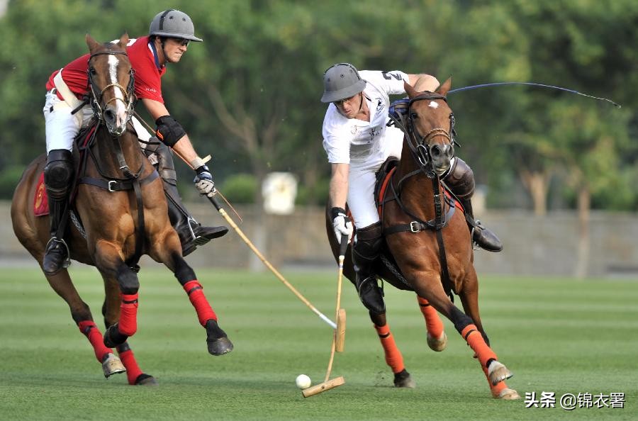 polo衫你知道是什么吗,polo衫千万别这么穿