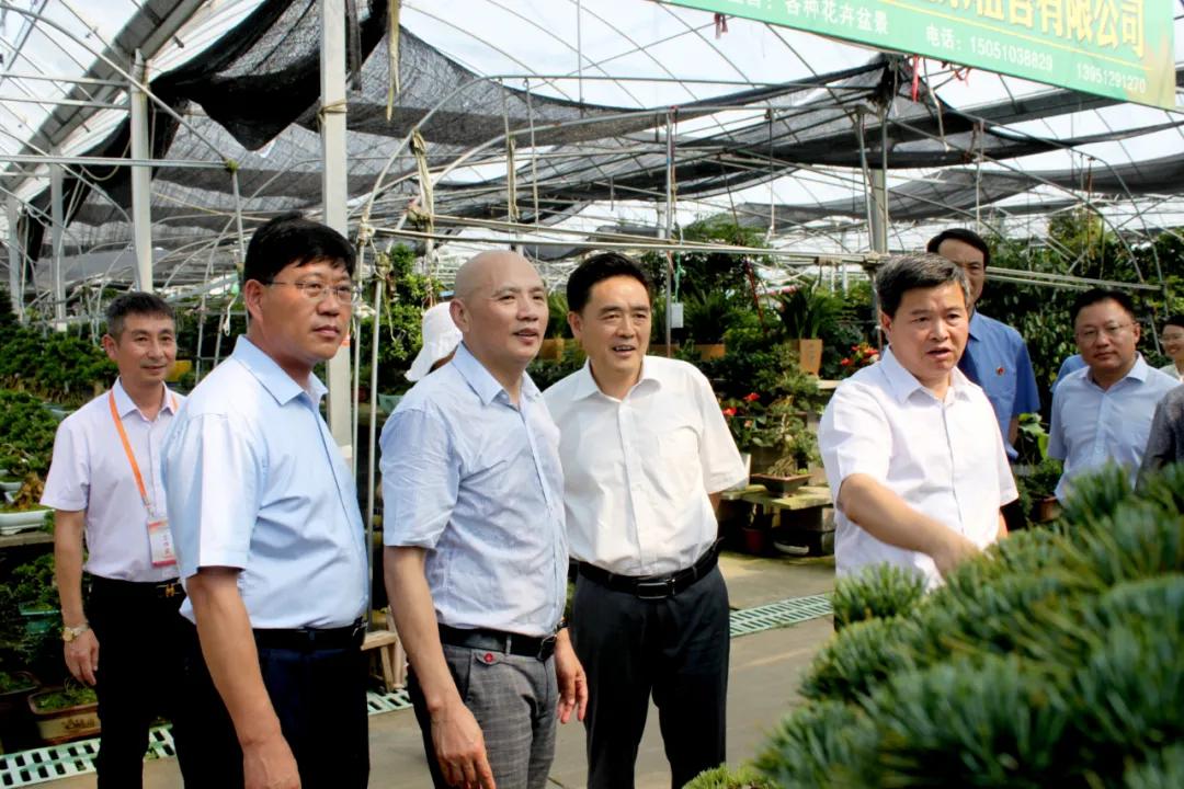 中国沭阳国际花木城在哪个城市,沭阳花木城的发展