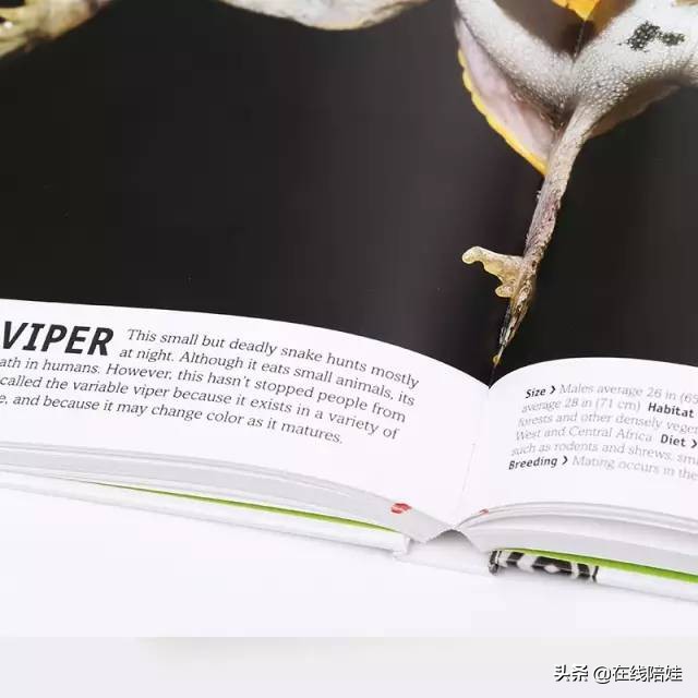 dk知识大百科全套,dk知识大百科书金银版