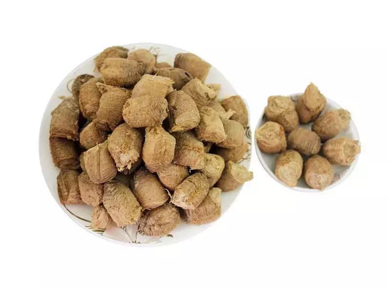 每天学习一味中药——桑螵蛸（5月29日）