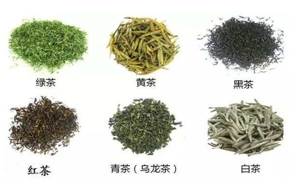 茶叶的分类六大名茶和四大茶地,带你走进产茶区了解茶叶