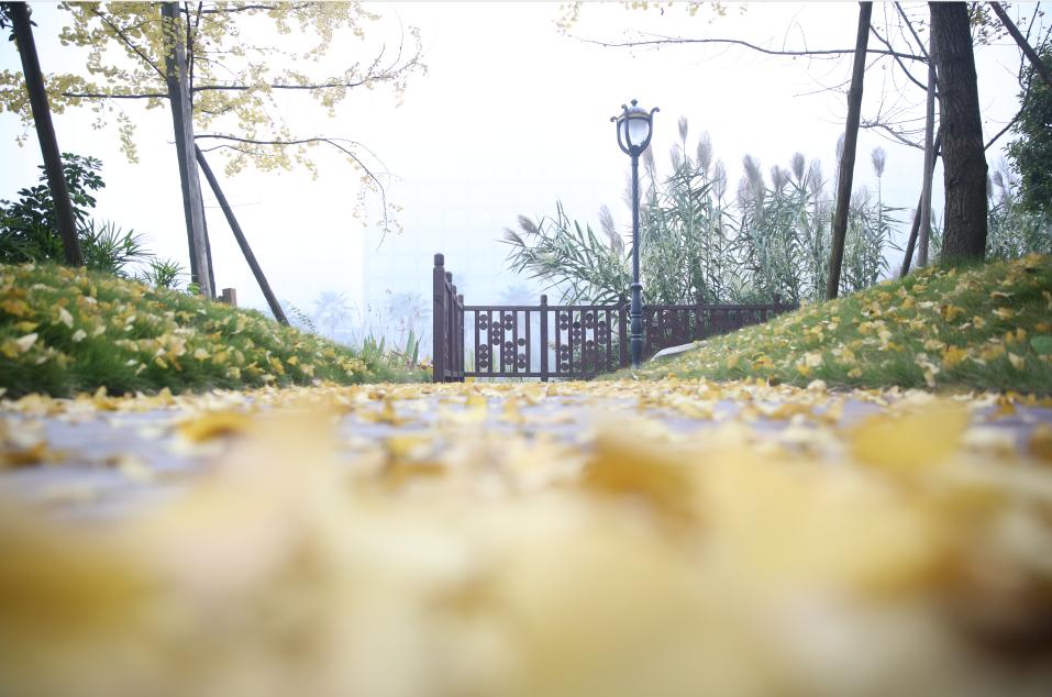 重庆市各区县最好高中,重庆最顶级的高中学校