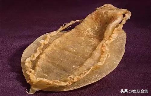 花胶的种类和区别,花胶一共有几种类型的品种