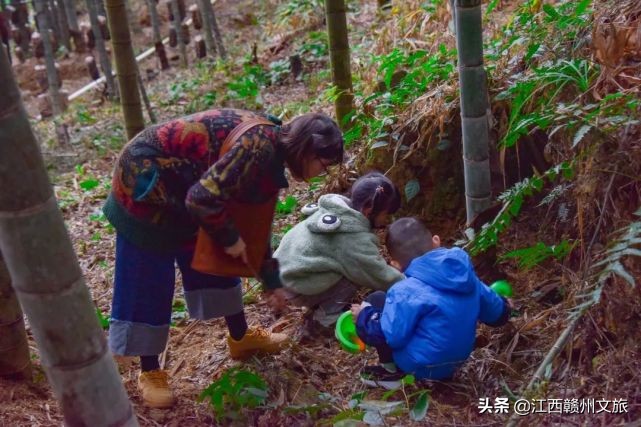 龙南冬天美景,龙南一日游的真实感受
