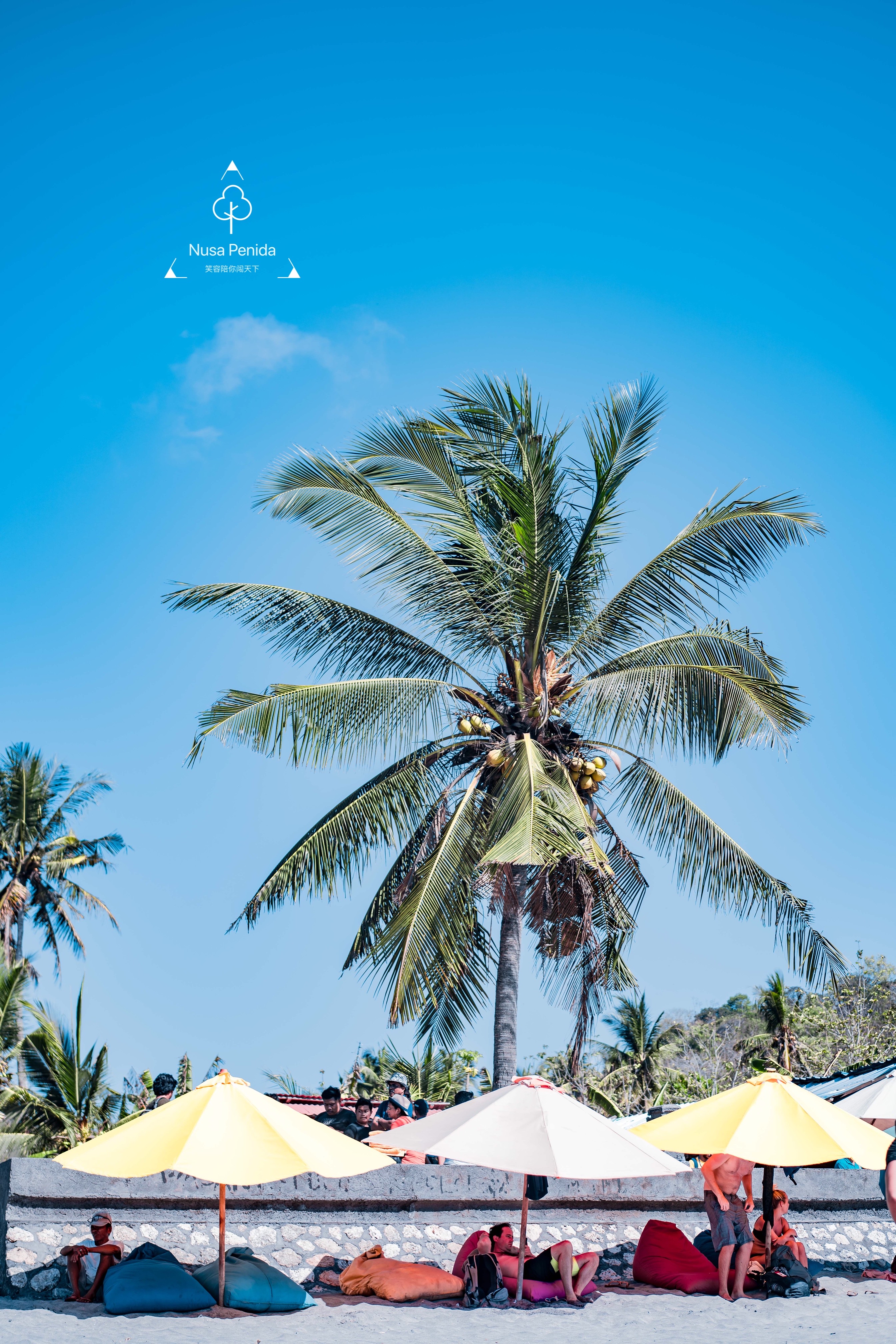 巴厘岛网红打卡地,网红打卡旅游胜地巴厘岛