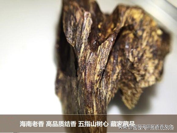 海南沉香特征图解,海南红土沉香味道和特征