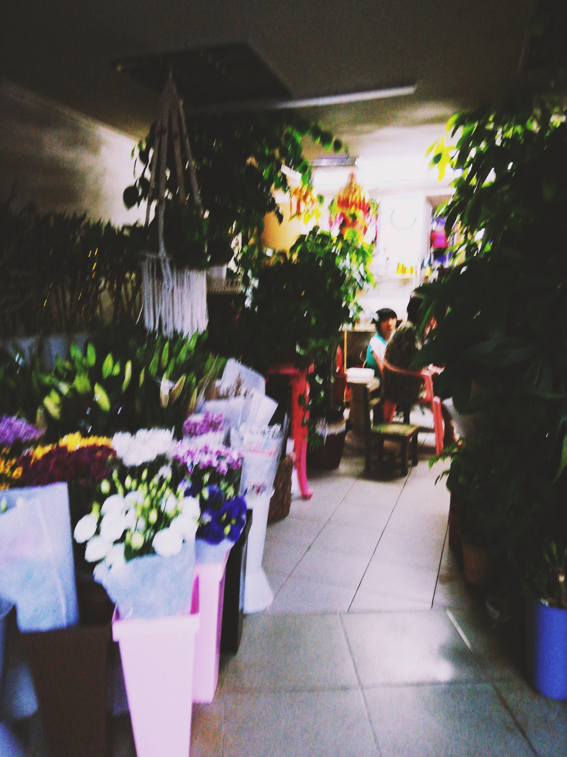 怎么让拍出来的照片更好看软件,用什么软件拍出来的照片很好看