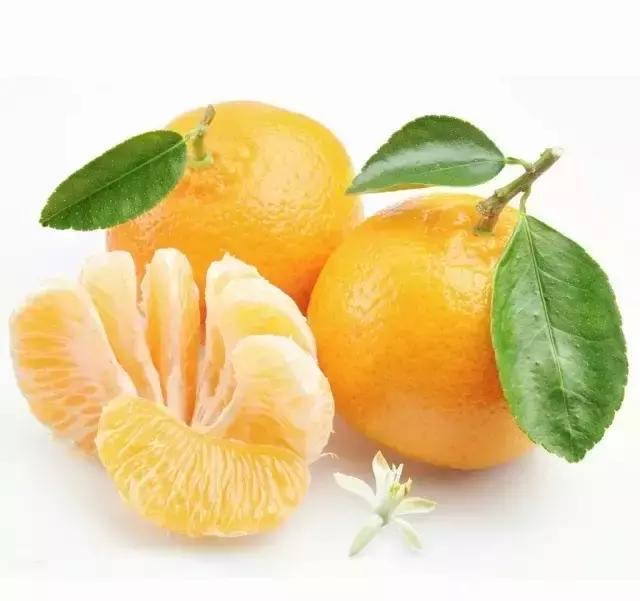 100种水果简笔画图片大全大图,儿童简笔画入门水果0-3岁