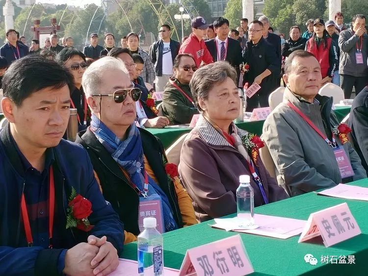 伟大使命复兴中国盆景艺术事业——2019中盆会大事回顾(下篇)