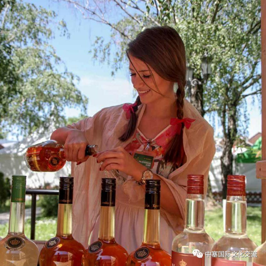 塞尔维亚孤单星球,塞尔维亚十大孤独星球