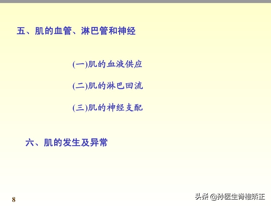 系统解剖学骨学ppt课件,解剖学基本知识ppt课件