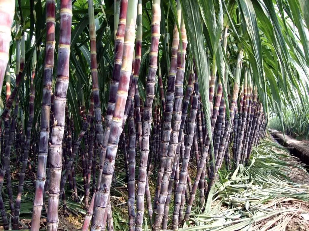 记录一些快乐的小事,记录一些开心的瞬间