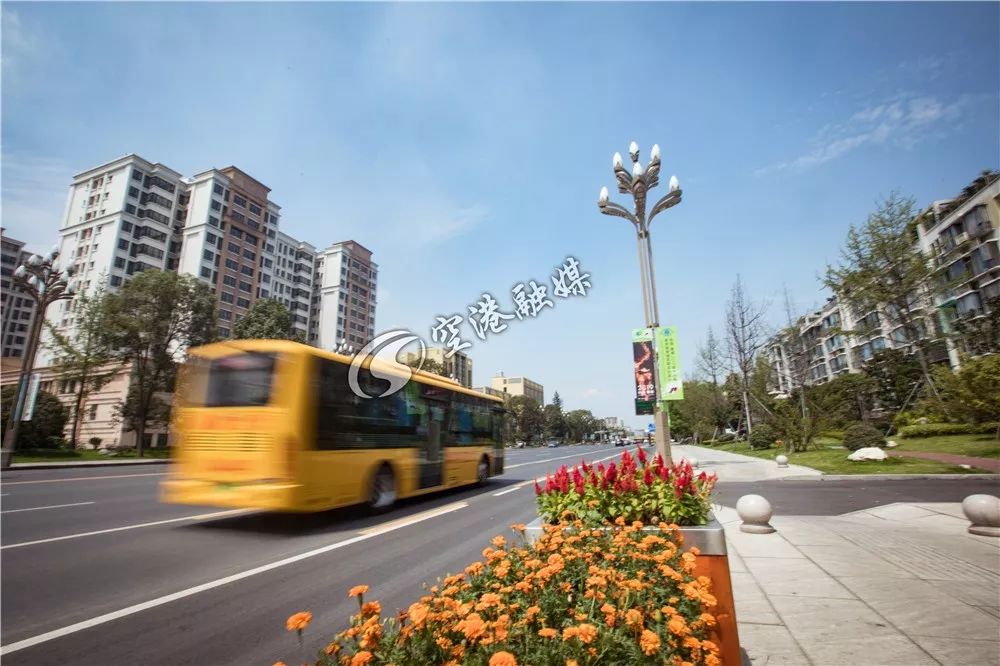 美了美了！涉及双流四个街区，34条街道！在你家附近吗？