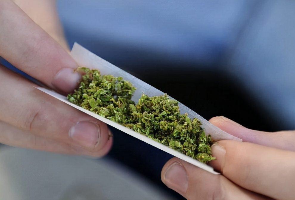 禁毒常见毒品的识别,禁毒知识内容毒品的危害