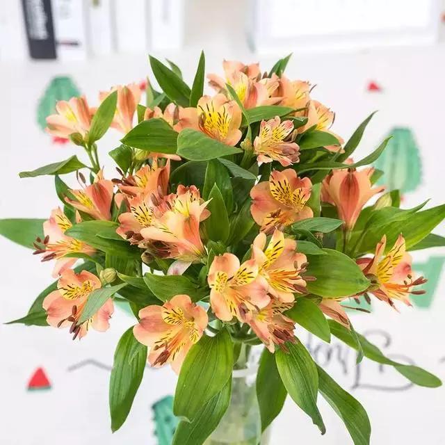 过年家里摆什么植物好,家里过年要摆几样水果