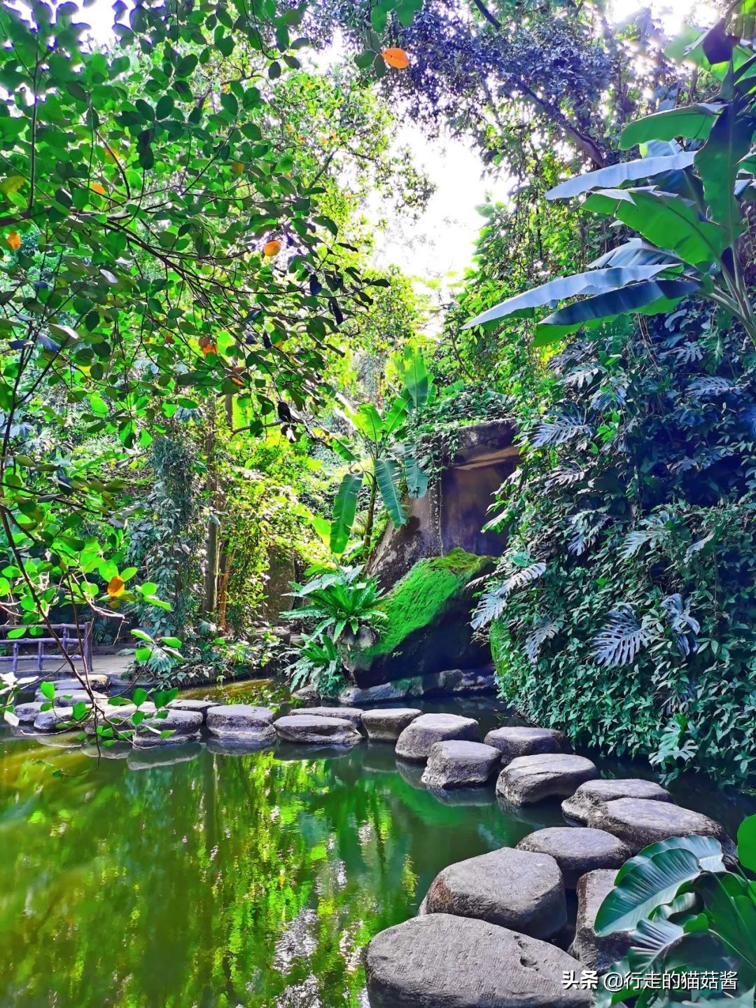 第一次去厦门必去攻略,去厦门的自由行攻略图文