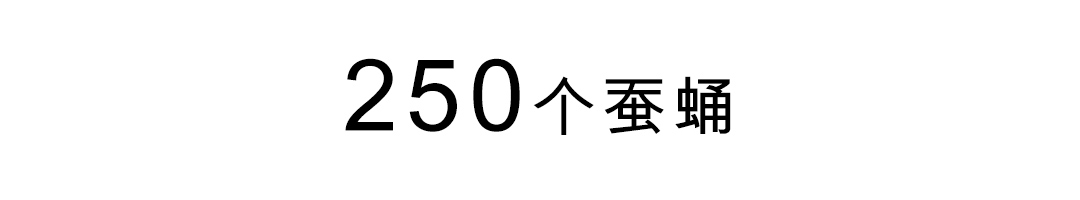 爱马仕丝巾为什么值得收藏,爱马仕丝巾一条
