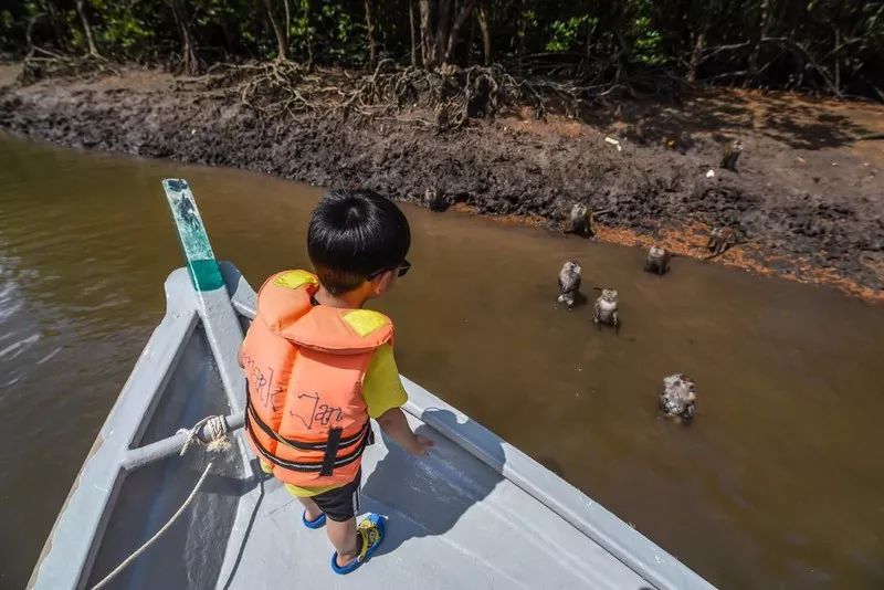 成都宝妈:孩子征服世界的第一站