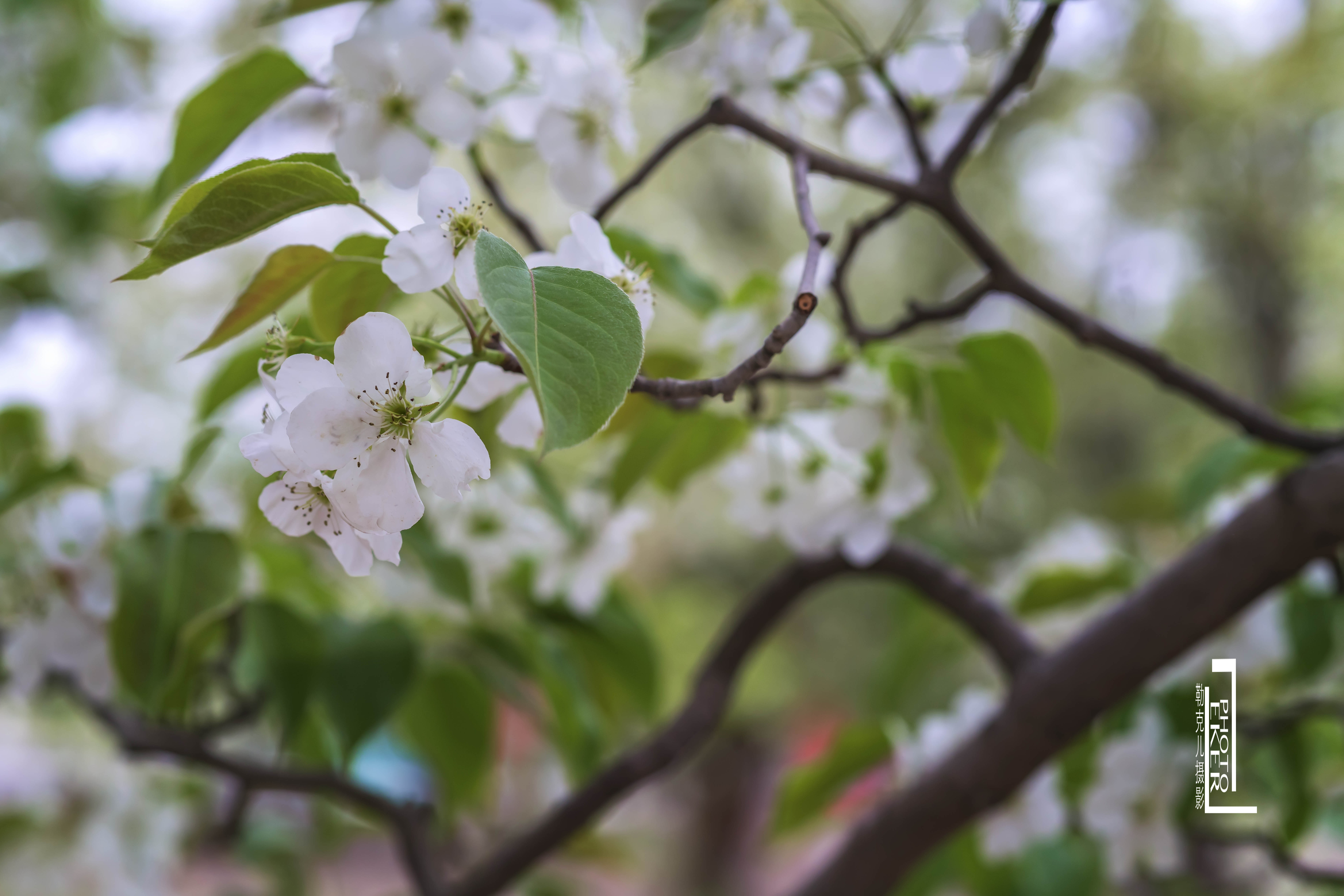 大西北戈壁滩怎么形成的,我国西北地区大戈壁滩形成原因
