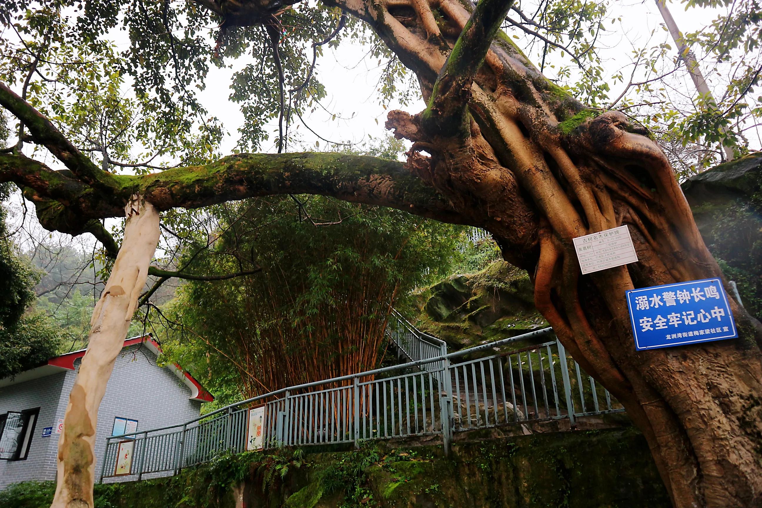 巴南区鱼洞老街公园仿古建筑群,巴南鱼洞老街历史