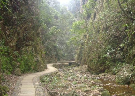 乡情散文乡恋,乡情散文乡愁