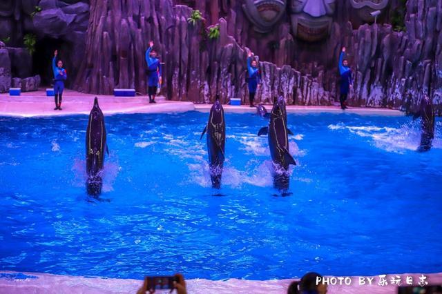 来珠海旅游必打卡的景点,春节珠海亲子游玩地方推荐