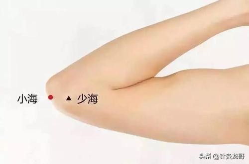 人体带海的穴位有几个,有关海的穴位