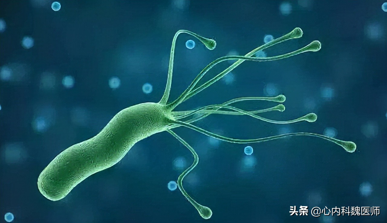 三个方法杀灭幽门螺旋杆菌不复发,幽门螺杆菌阳性治疗好还会复发吗