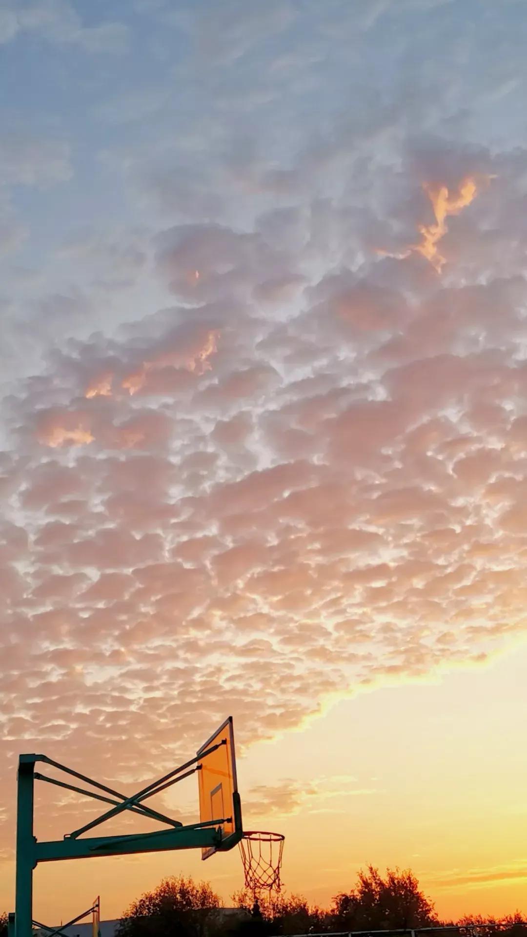 淮南师范学院在安徽排名,淮南师范学院安徽省排名