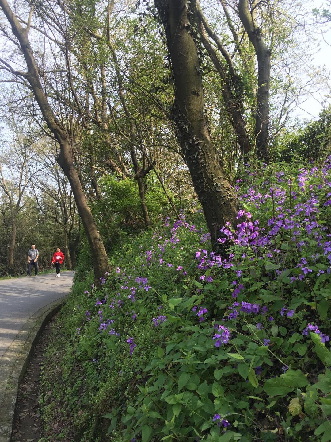 苏州景点穹窿山,苏州穹窿山穿越攻略