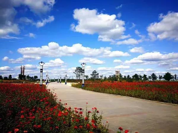 左中休闲好去处——达尔罕森林公园