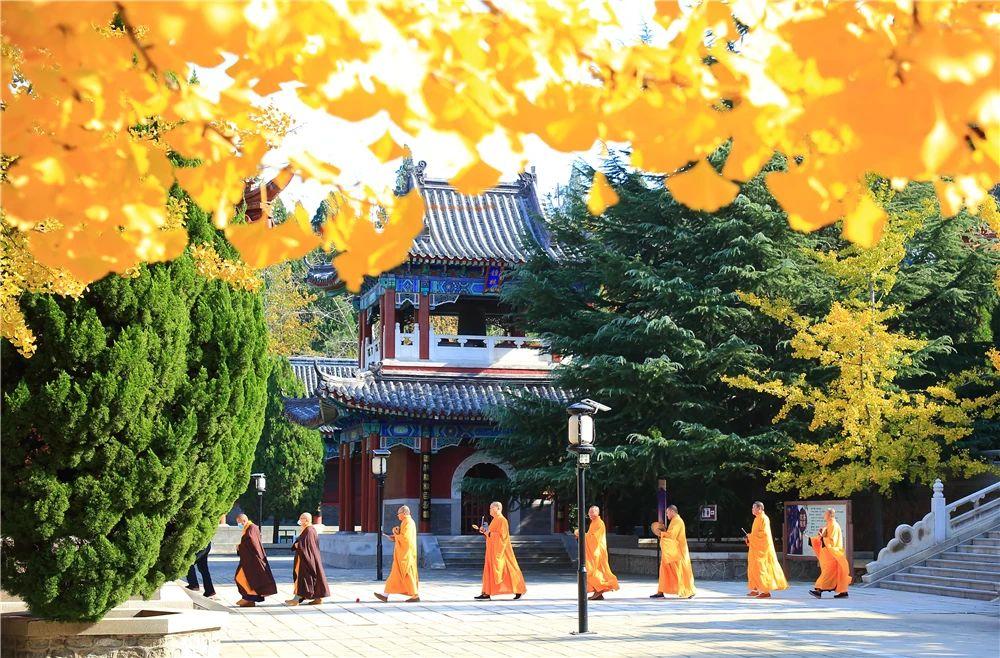 3天2夜游！它是被低估的海滨小城，藏着独属于11月的盛大美景|冬游齐鲁