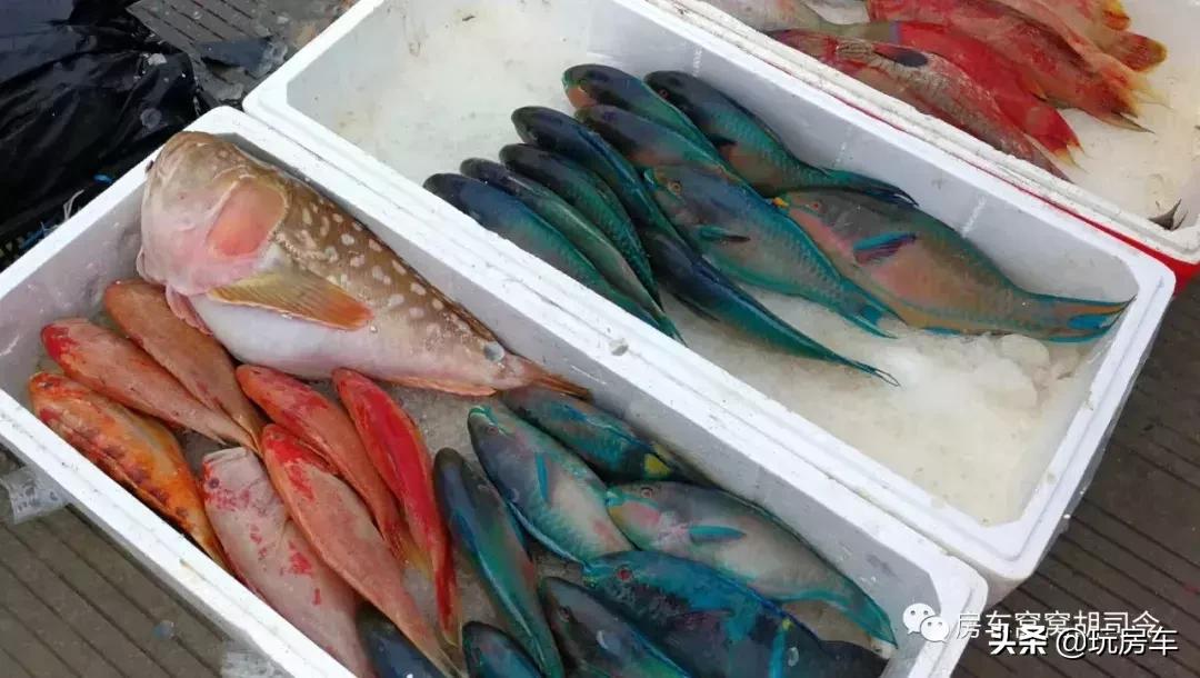 海南那么大，房车到底停哪里？纯干货分享海南三亚的窝窝