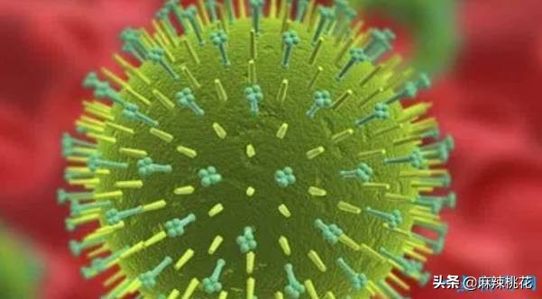 最危险的10种致命病毒,世界最难治病毒