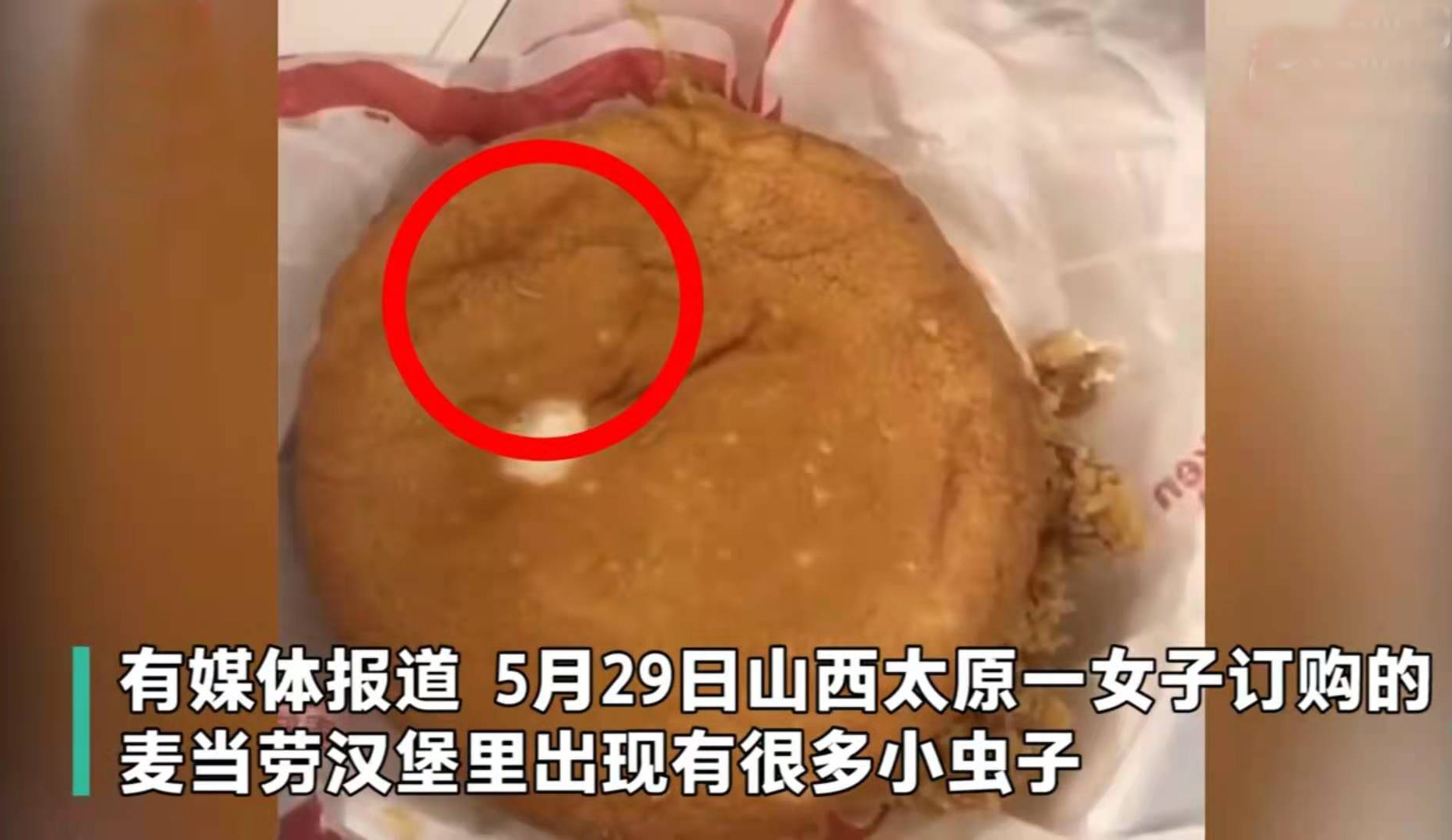 太恶心！女子吃麦当劳汉堡发现大量活虫！为何会出现这种情况？