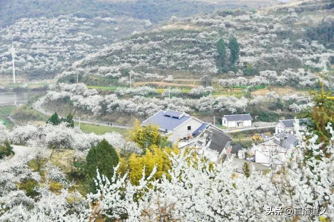 遵义十二中活动,17个娱乐项目畅玩