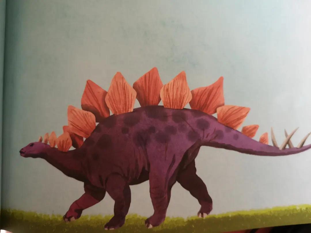 用恐龙模型打造真实的恐龙世界,恐龙时代里面的所有恐龙模型