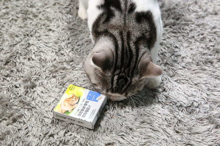 猫咪驱虫滴剂哪个牌子好,猫驱虫拜宠清和拜耳有啥区别