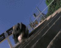 周星驰亲自解读新喜剧之王,新喜剧之王周星驰2019