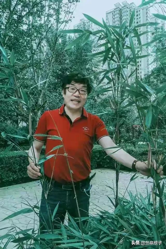 知青回忆那些年那些人那些事,那些年那些事大型知青电视连续剧