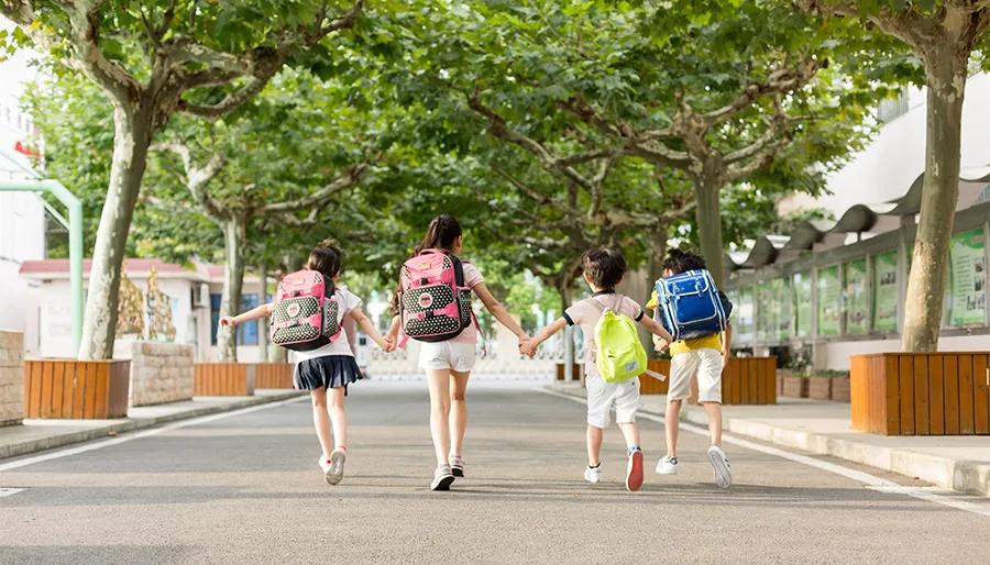 儿童画观察植物,儿童画写生课怎么讲