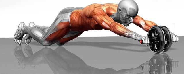 健腹轮腹肌锻炼方法视频,健腹轮能锻炼腹肌吗