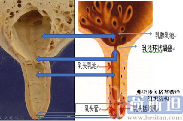 张廷青简介,张廷青