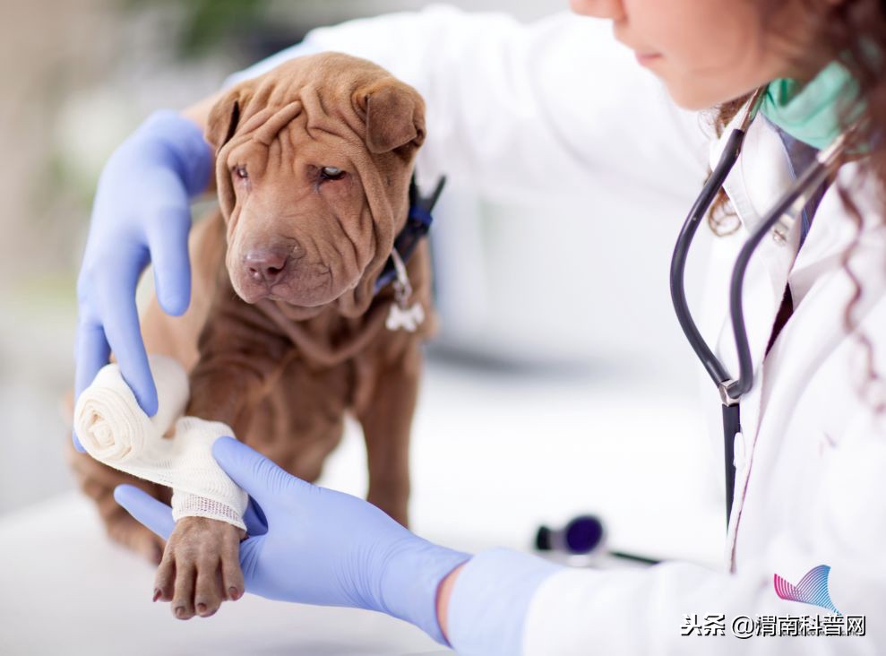 什么是破伤风的临床表现,破伤风是预防什么的